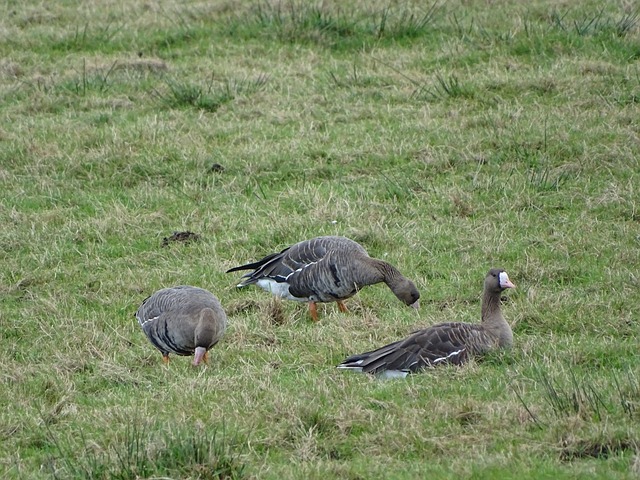 泽林斯基：我们感到愤怒，在场上看那绝不是一次犯规